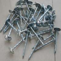 china umbrella head roofing nails